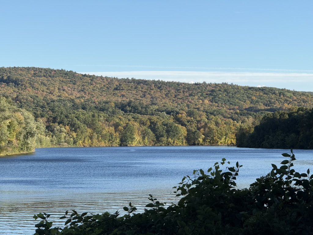 River and autumn woodland framed by leaves